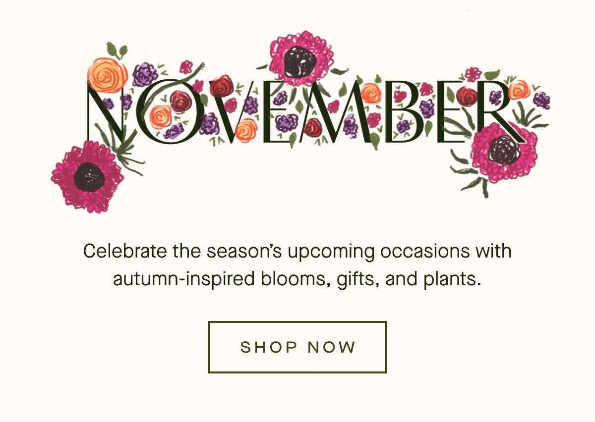 NOVEMBER - Celebrate the season's upcoming occasions with autumn-inspired blooms, gifts, and plants. - SHOP NOW