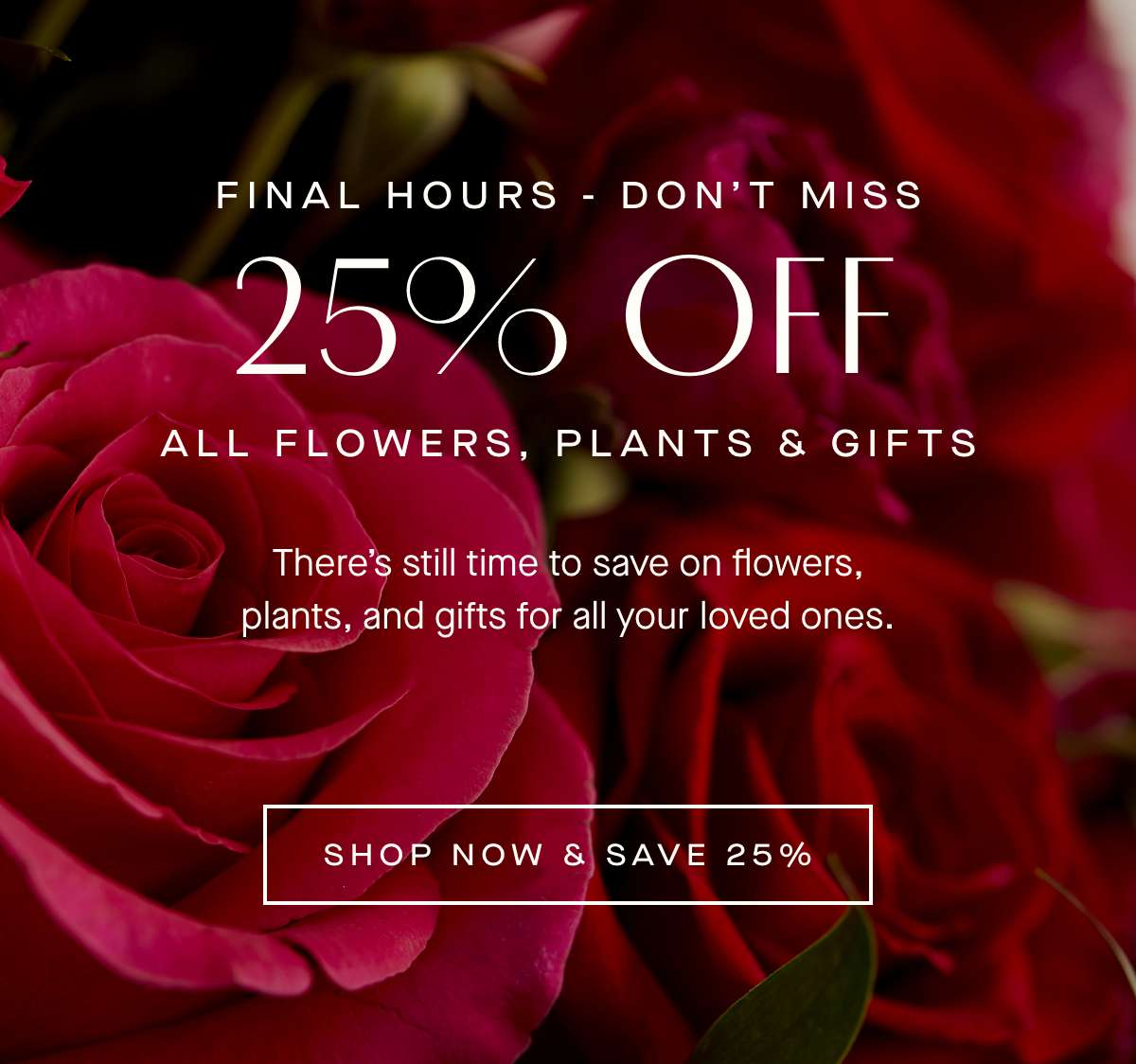 FINAL HOURS - DON'T MISS 25% OFF all flowers, plants & gifts 
