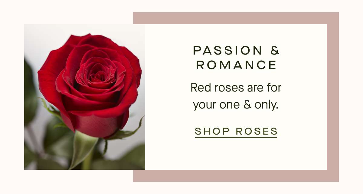 Passion & Romance - SHOP RED ROSES 