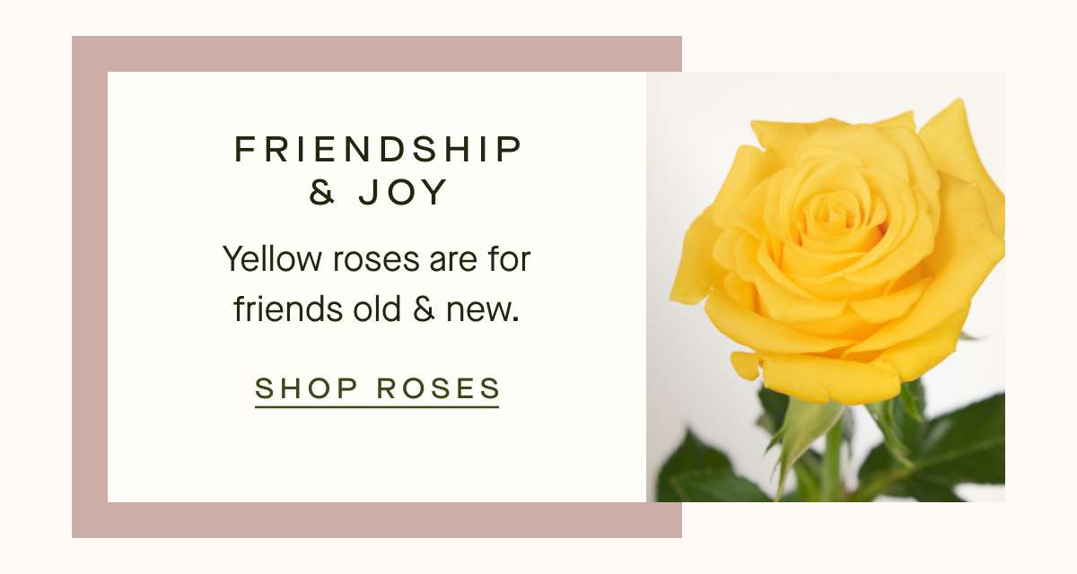 Friendship & Joy - SHOP YELLOW ROSES 