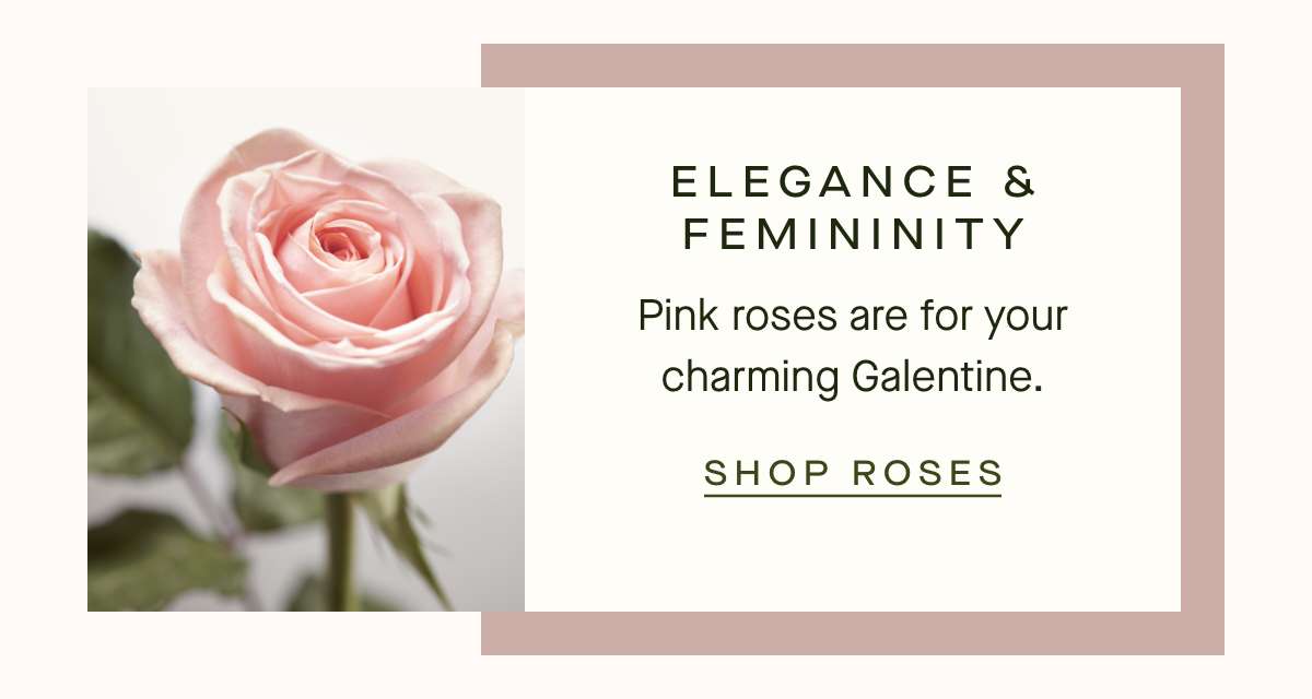 Elegance & Femininity - SHOP PINK ROSES
