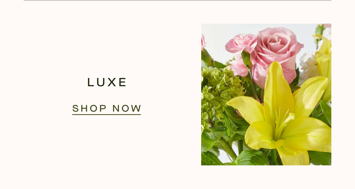 LUXE - SHOP NOW 